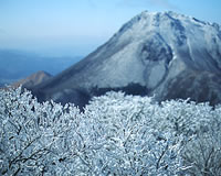 鶴見岳