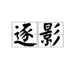 逐影[漢語詞語]