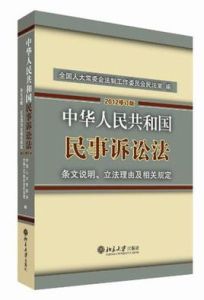 《中華人民共和國民事訴訟法》條文說明、立法理由及相關規定