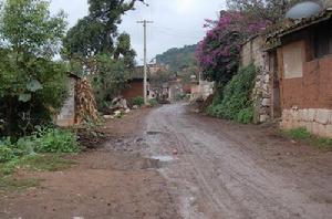 路龍二村的道路