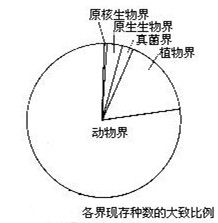 非細胞生物階段