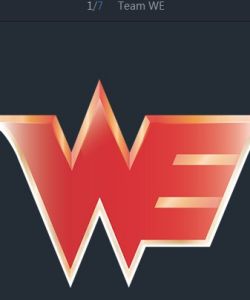 we[TEAM WE / World Elite / WE電子競技俱樂部]