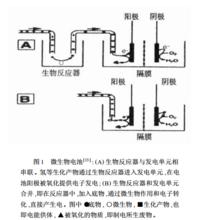 生物質燃料