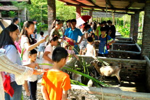 田野動物之家