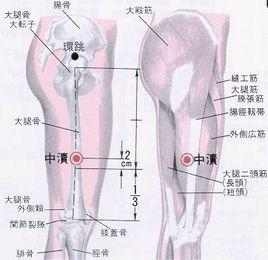 膝中