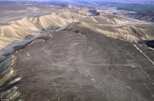 在納斯卡平原邊緣留下的古代蜂鳥地畫可能是獻給“土地神”的祭品