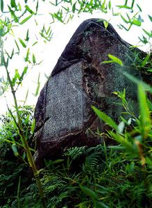 柳州城遺址