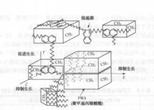 加降凝劑蠟單晶生長方式