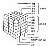 智力三維結構模型