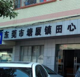 田心社區[廣東東莞市塘廈鎮下轄社區]