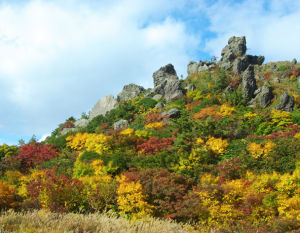 花山溫泉