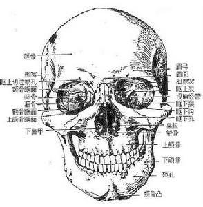 顱裂及腦膜腦膨出