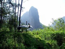 九龍山[北京市房山區九龍山]