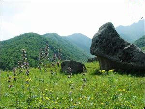 黑島鎮