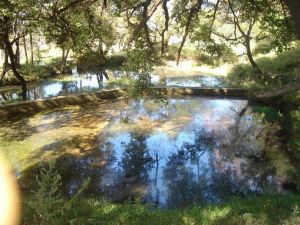 桑嶺村[雲南省大理州劍川縣金華鎮下轄村]