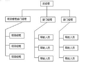 強矩陣組織