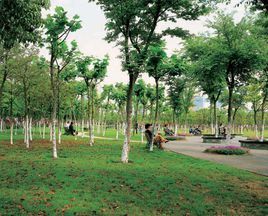 金橋公園[上海市浦東新區金橋公園]