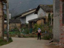 石坡村[貴州黃平縣一碗水鄉下轄村]