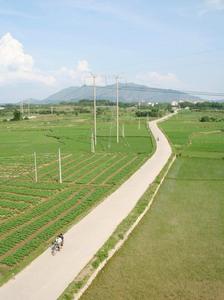 大新鎮