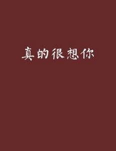 真的很想你[網路小說]