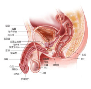 急性附睪炎