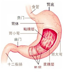 慢性淺表性胃炎