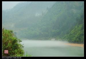 小溪霧氣