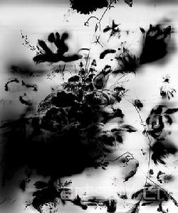 《Still life negative after Mignon》,inkjet on paper,2009