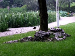 上海靜安公園