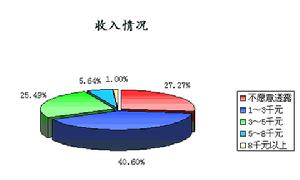 收入分析