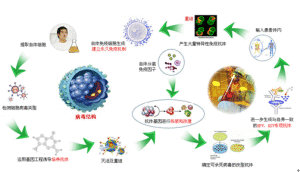 生物植入血液磁化療法