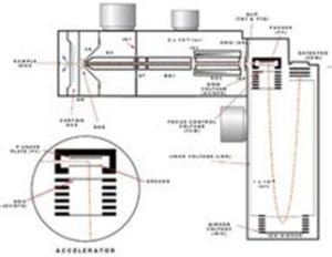 加速器質譜分析
