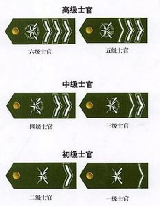 我軍1999式陸軍士官軍銜