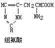 組氨酸