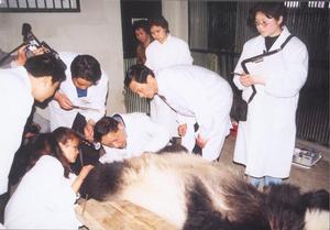 和歌山白浜野生動物園