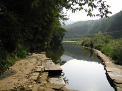 金勾樹村