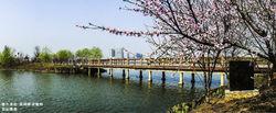 遺愛湖[黃岡市東坡文化主題公園]