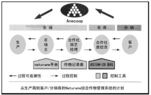 可追溯性