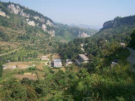 河溝自然村[雲南省昭通彝良縣奎香鄉坪地村河溝自然村]