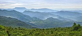 平頂山[河南省魯山縣瓦屋鎮土橋村]