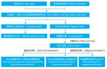 生物信息分析流程示意圖