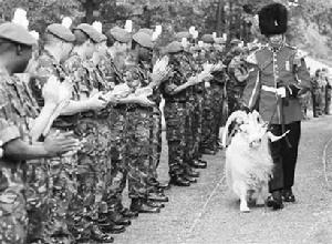 英國陸軍皇家空勤團