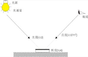 光照強度