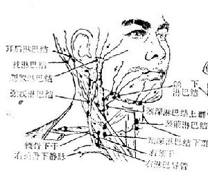 下頜淋巴結