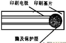 酶電極的結構