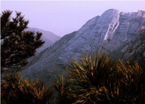 蒙山旅遊區平邑龜蒙景區