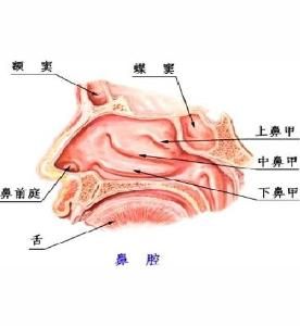 頜骨骨髓炎