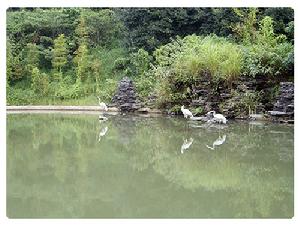 深圳仙湖植物園