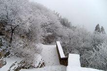 駝嶺雪景