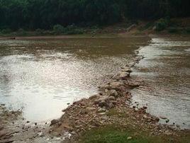 大樹村[雲南省楚雄州元謀縣江邊鄉下轄村]